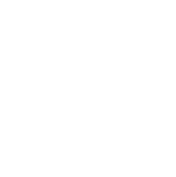 MISS MAGGIE WORDPRESS